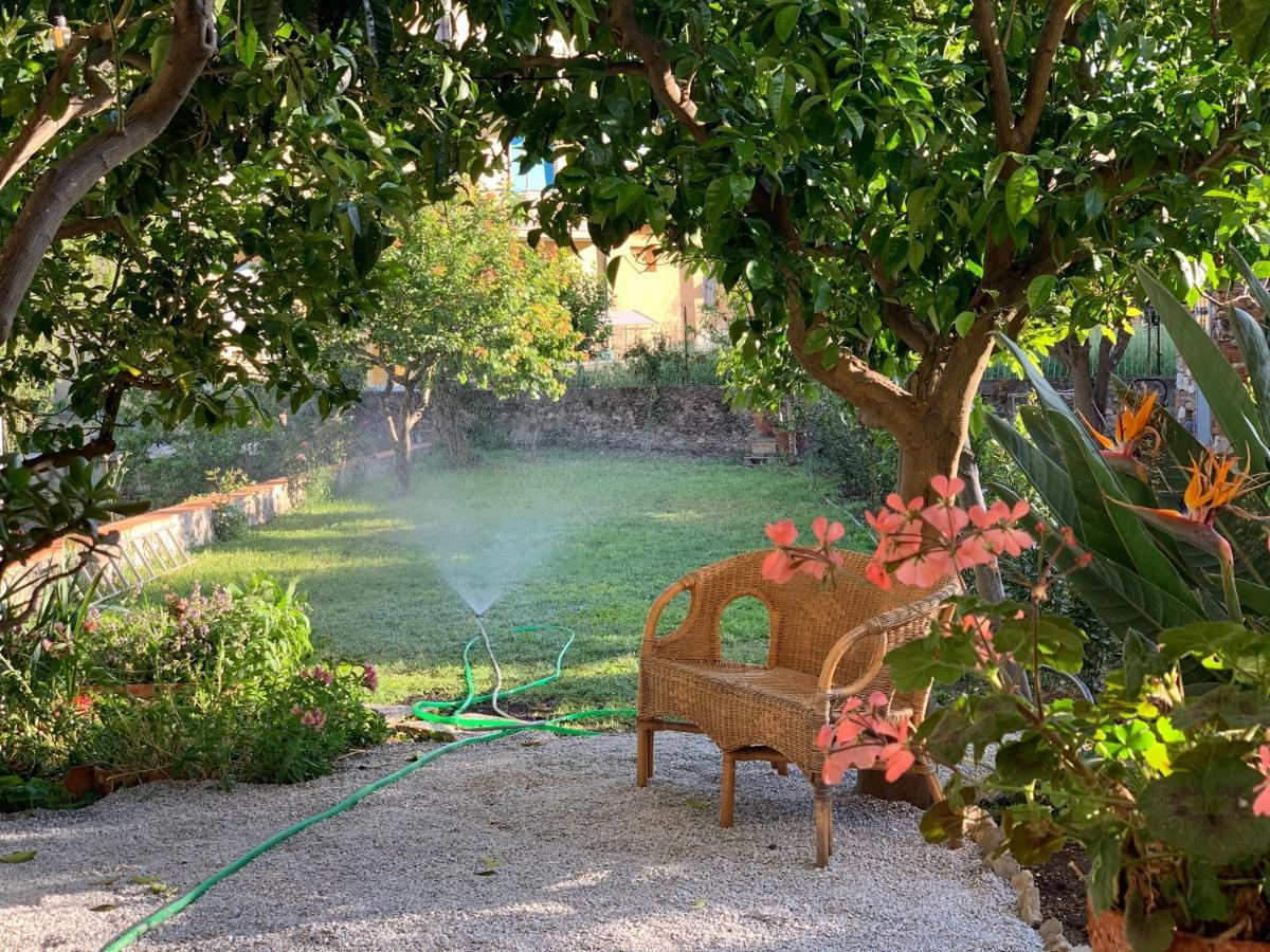 Il Giardino Dei Limoni Bed and Breakfast Suvereto Exteriör bild
