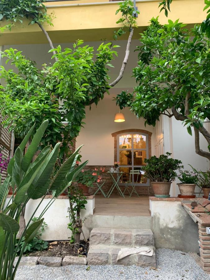Il Giardino Dei Limoni Bed and Breakfast Suvereto Exteriör bild